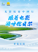 成年人免费在线视频网站